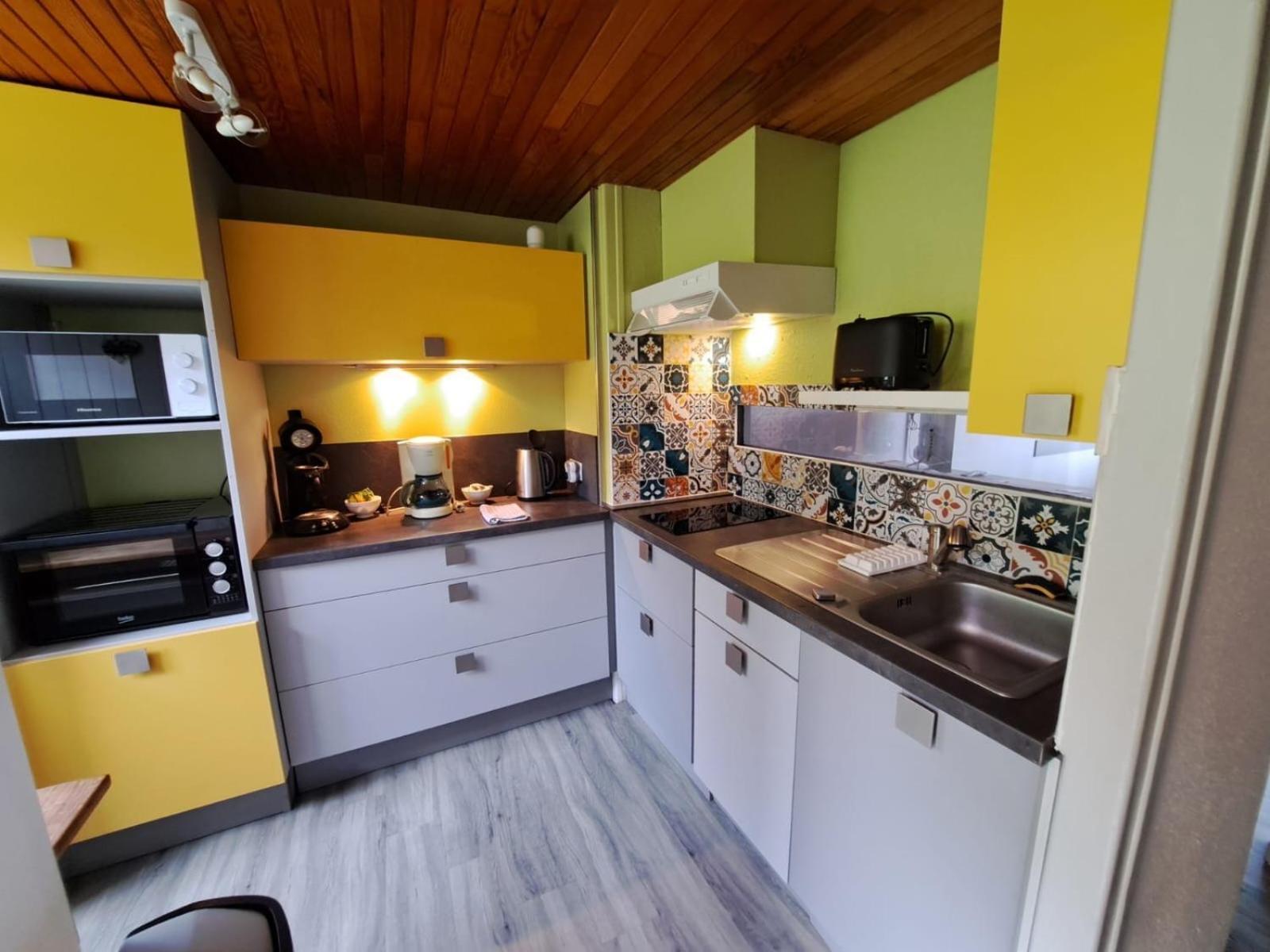 Appartement Duplex Avec Vue Sur Le Sancy Et Garage Couvert Murat-le-Quaire Экстерьер фото